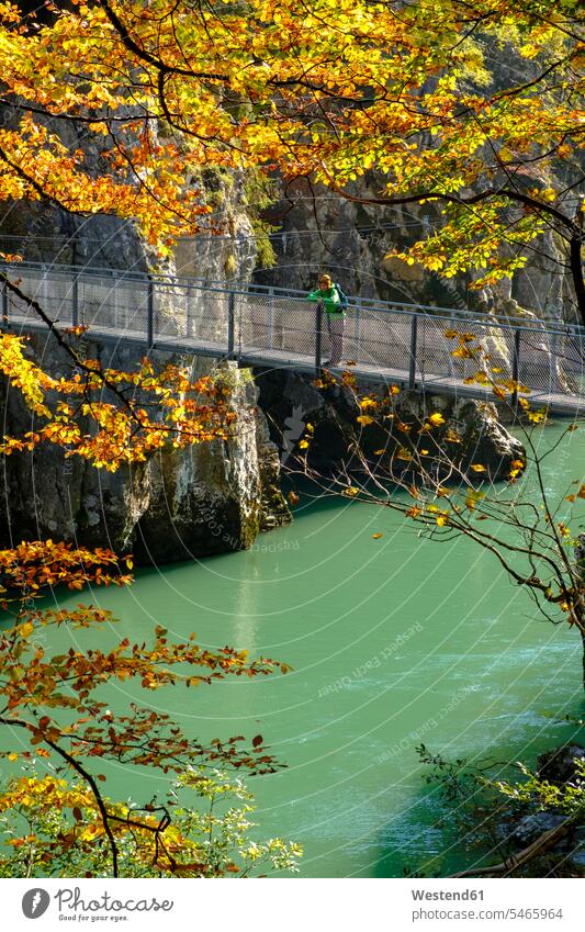 Österreich, Tirol, Wanderer auf Hängebrücke mit Blick auf die Tiroler Ache im Herbst Haengebruecke Hängebrücken Haengebruecken Grossache Großache Mann Männer