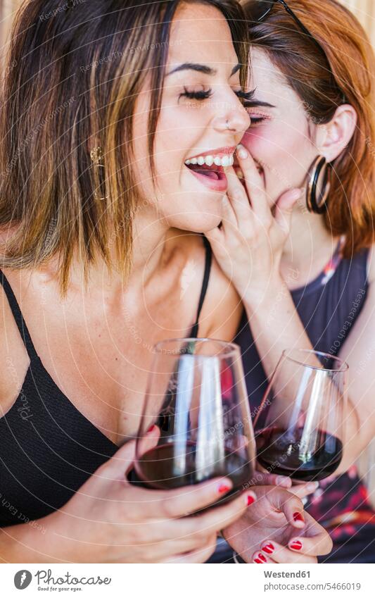 Zwei glückliche Frauen bei einem Glas Rotwein Freunde Kameradschaft Freundin Koepfe Köpfe Gesichter Gläser Trinkglas Trinkgläser hoeren sitzend sitzt reden