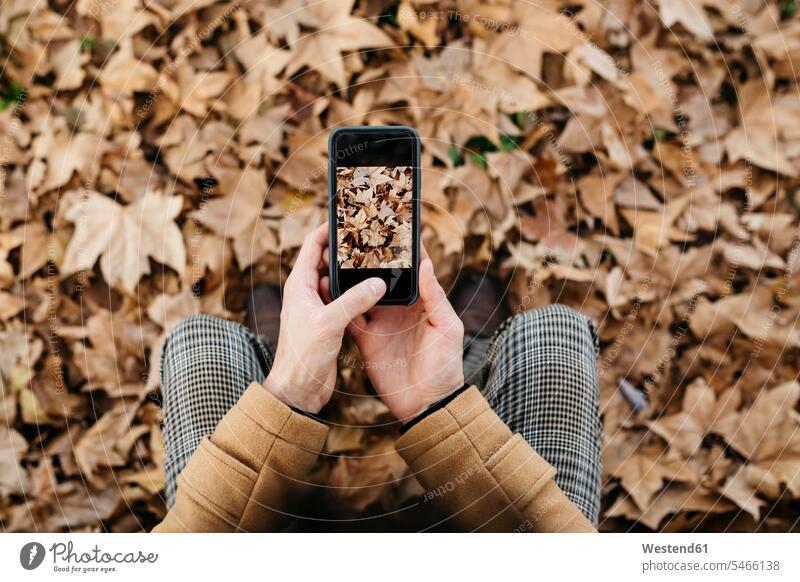Nahaufnahme eines Mannes, der mit seinem Handy ein Foto von Herbstblättern macht Mobiltelefon Handies Handys Mobiltelefone fotografieren Männer männlich