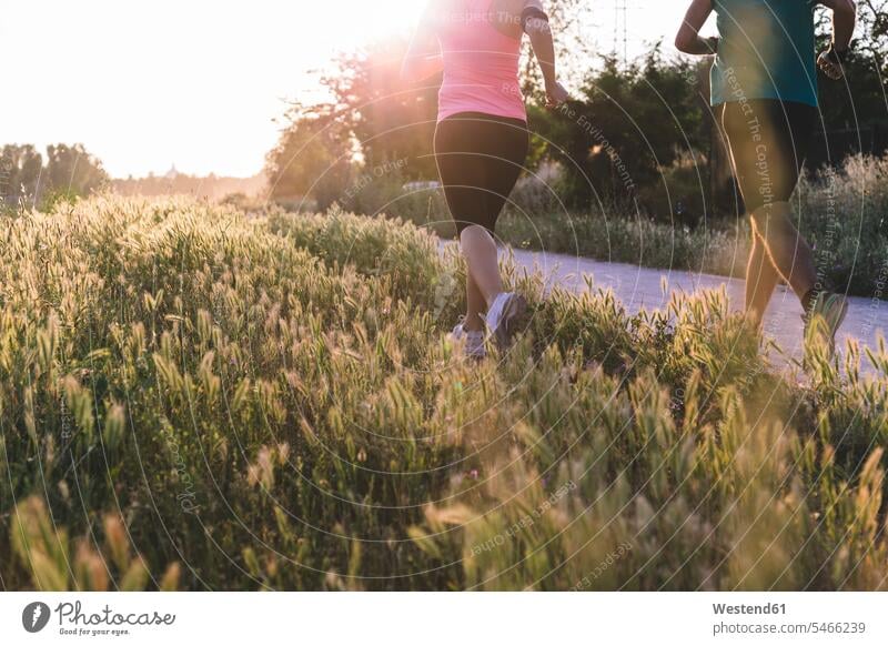 Aktive Sportlerin und Sportler joggen im Park bei Sonnenuntergang Farbaufnahme Farbe Farbfoto Farbphoto Außenaufnahme außen draußen im Freien Sonnenuntergänge