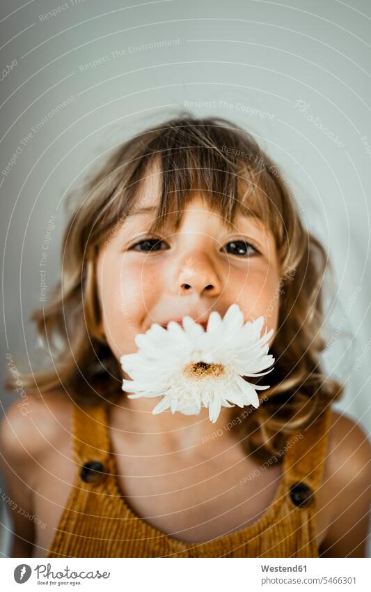 Süßes Mädchen trägt zu Hause Blume im Mund gegen die Wand Farbaufnahme Farbe Farbfoto Farbphoto Innenaufnahme Innenaufnahmen innen drinnen Tag