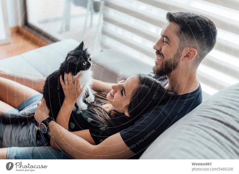 Glückliches Paar verbringt seine Freizeit mit der Katze, während es zu Hause sitzt Farbaufnahme Farbe Farbfoto Farbphoto Innenaufnahme Innenaufnahmen innen