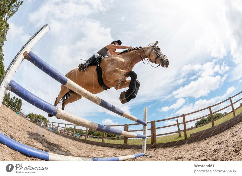 Junge Frau reitet auf einem Pferd und springt über Hürde springen Spruenge Sprünge hüpfen Leistungen Muße Dynamik trainieren außen draußen im Freien am Tag