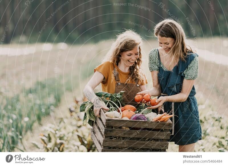 Lächelnde Landarbeiter sammeln Gemüse in einem Korb, während sie auf dem Bauernhof stehen Farbaufnahme Farbe Farbfoto Farbphoto Außenaufnahme außen draußen