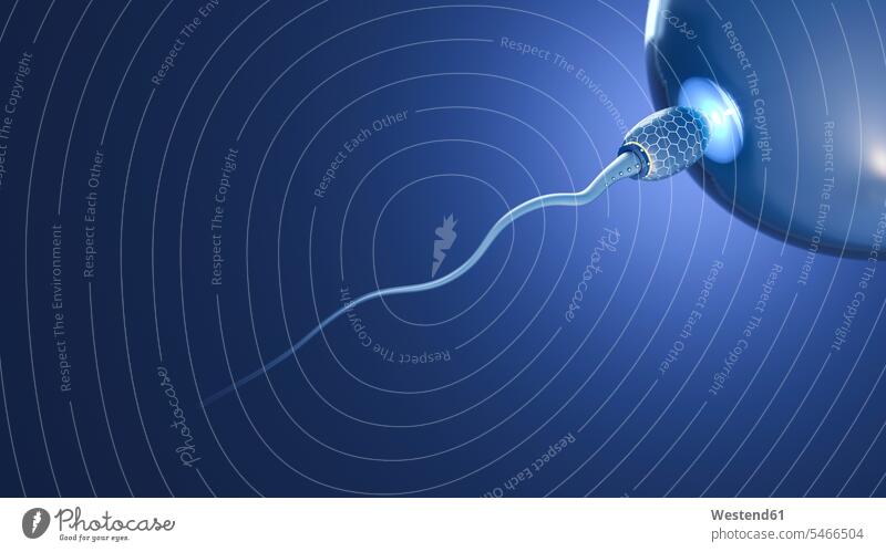 Futuristisches Spermium erreicht Eizelle, 3d Rendering erreichen blauer Hintergrund leuchtend strahlend hell futuristisch Zukunft Future Visionär Forschung