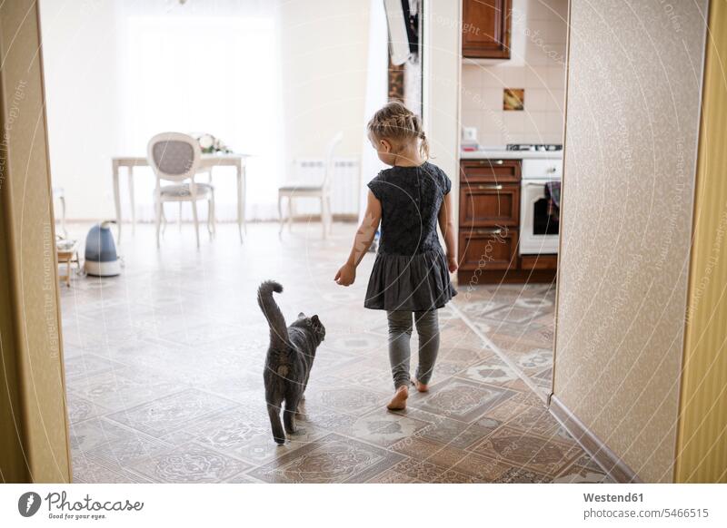Mädchen geht mit Britisch Kurzhaar-Katze zu Hause Farbaufnahme Farbe Farbfoto Farbphoto Innenaufnahme Innenaufnahmen innen drinnen Tag Tageslichtaufnahme