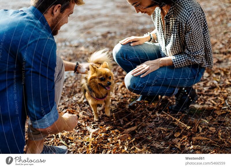 Junges Paar mit Hund in einem Park Tiere Tierwelt Haustiere Hunde entspannen relaxen geniessen Genuss Glück glücklich sein glücklichsein gefühlvoll Emotionen