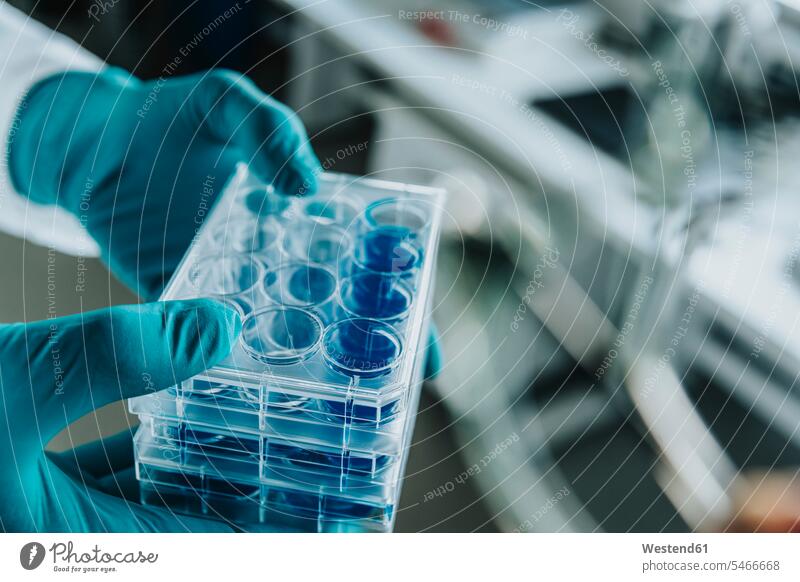 Wissenschaftler hält Petrischalen-Tablett in der Hand, während er im Labor steht Farbaufnahme Farbe Farbfoto Farbphoto Innenaufnahme Innenaufnahmen innen