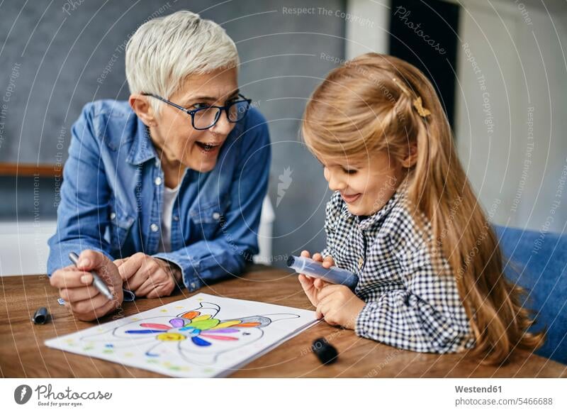 Großmutter und Enkelin sitzen am Tisch, malen Malbuch Leute Menschen People Person Personen Europäisch Kaukasier kaukasisch erwachsen Erwachsene Frauen weiblich