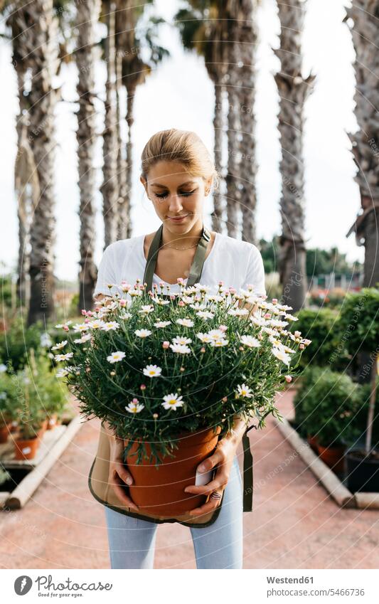 Weiblicher Arbeiter in einem Gartencenter hält eine Gänseblümchenpflanze Job Berufe Berufstätigkeit Beschäftigung Jobs Blumentoepfe Blumentöpfe zufrieden