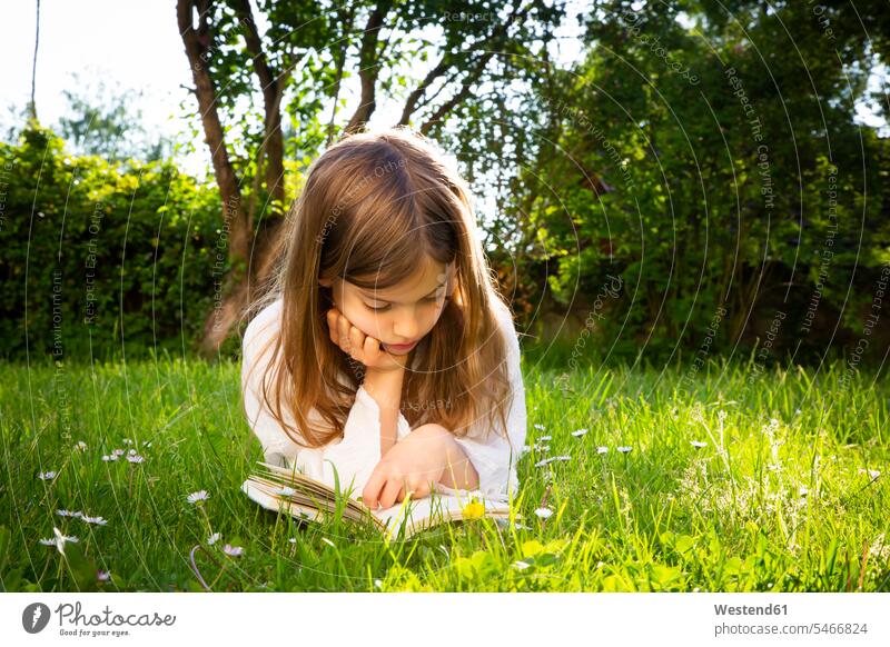 Mädchen liegt auf einer Wiese und liest ein Buch Leute Menschen People Person Personen 1 Ein ein Mensch nur eine Person single Kids Kinder weiblich Kiddies