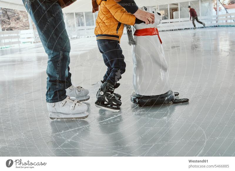 Großvater und Enkel auf der Eisbahn, Schlittschuhlaufen, mit Eisbärenfigur als Requisite Eisstadion Eishalle Eislaufbahn Schlittschuhbahn Opa Großpapa Großpapas