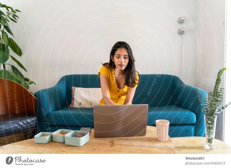 Junge Frau sitzt mit Laptop auf der Couch Job Berufe Berufstätigkeit Beschäftigung Jobs geschäftlich Geschäftsleben Geschäftswelt Geschäftsperson