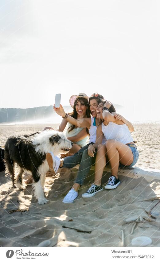 Glückliche Freundinnen mit Hund machen ein Selfie am Strand Leute Menschen People Person Personen Europäisch Kaukasier kaukasisch erwachsen Erwachsene Frauen