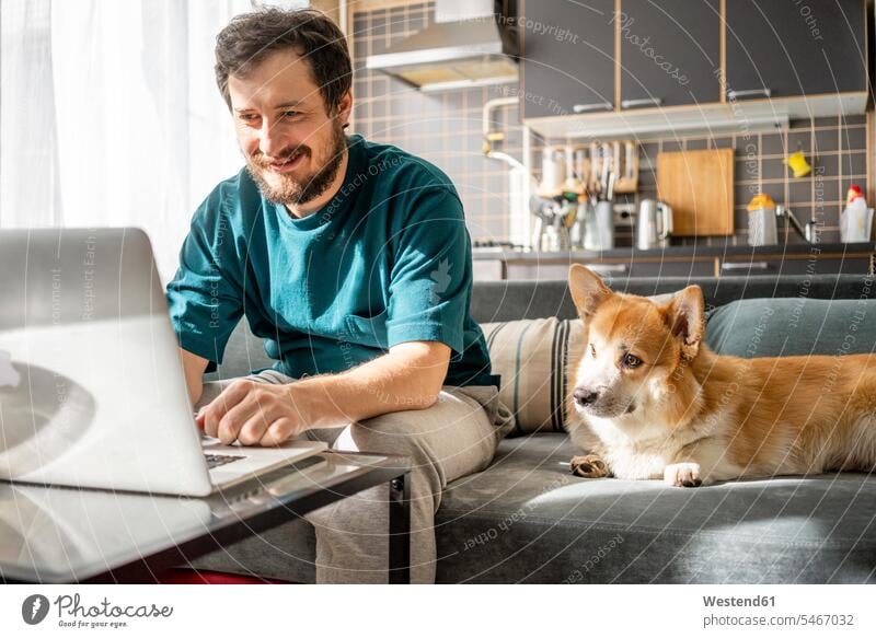 Porträt eines lächelnden Mannes, der zu Hause auf der Couch sitzt und seinen Laptop benutzt Tiere Tierwelt Haustiere Hunde Couches Liege Sofas Rechner Laptops