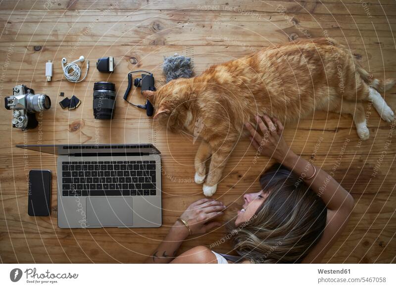 Erschöpfte Frau schläft auf dem Tisch mit Ingwer-Katze, Laptop und Fotoausrüstung Leute Menschen People Person Personen Europäisch Kaukasier kaukasisch 1 Ein