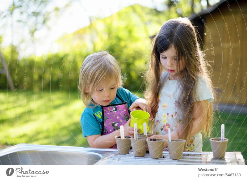 Süßes Mädchen gießt Pflanzen, während sie mit ihrer Schwester im Garten arbeitet Farbaufnahme Farbe Farbfoto Farbphoto Außenaufnahme außen draußen im Freien Tag