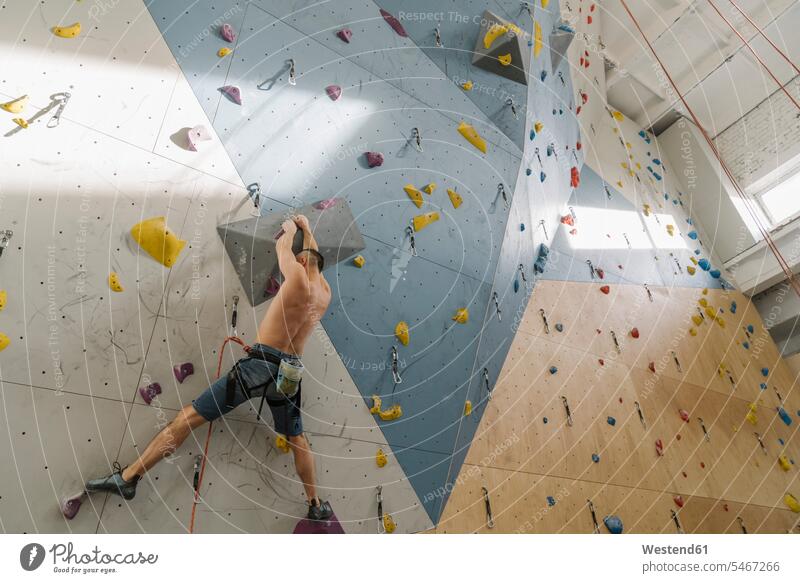 Mann ohne Hemd klettert in einer Kletterhalle an der Wand (value=0) Leute Menschen People Person Personen Europäisch Kaukasier kaukasisch 1 Ein ein Mensch