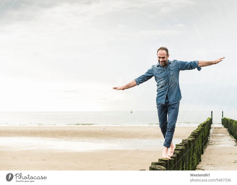 Unbekümmerter Mann mit ausgestreckten Armen auf Holzpfosten am Strand spazieren Farbaufnahme Farbe Farbfoto Farbphoto Niederlande Holland Freizeitbeschäftigung