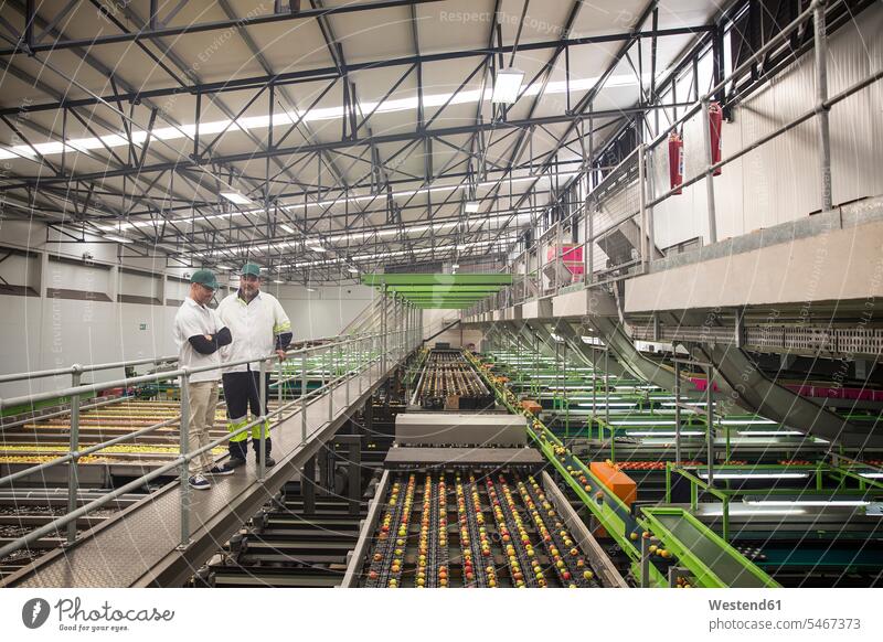 Arbeiter im Gespräch in einer Apfelfabrik, Sortiermaschine Nahrungsmittelfabrik Nahrungsmittelfabriken Ware Handelswaren Waren Kommunikation Sortiermaschinen
