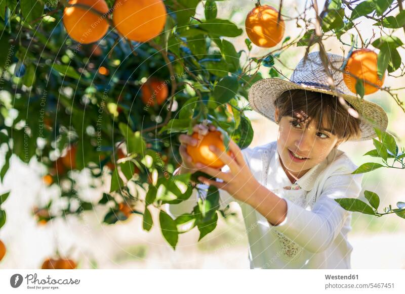Kleines Mädchen hilft der Mutter bei der Orangenernte Touristen freuen Frohsinn Fröhlichkeit Heiterkeit geniessen Genuss Glück glücklich sein glücklichsein