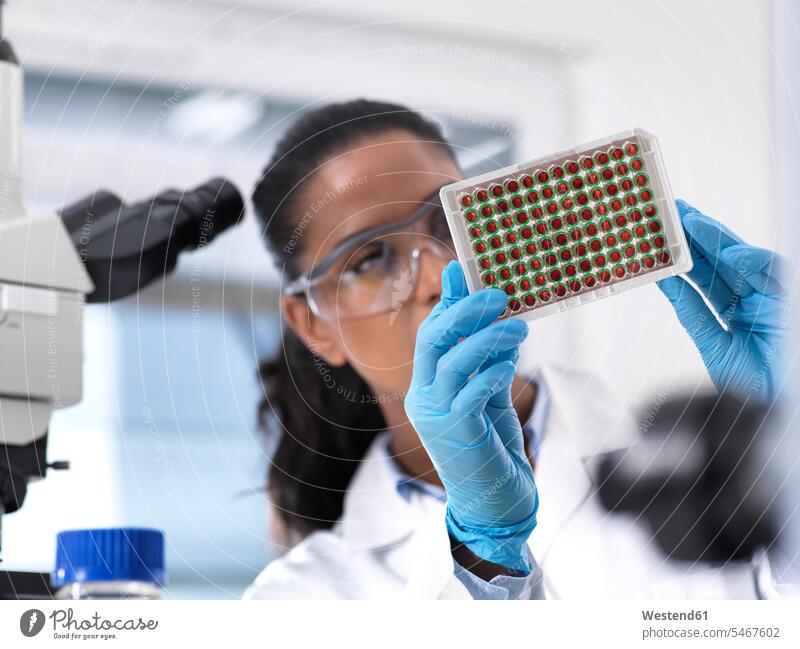 Weibliche Wissenschaftlerin bereitet ein Multiwell-Tablett mit Blutproben für klinische Tests im Labor vor arbeiten Arbeit Bluttest Bluttests Frau weiblich