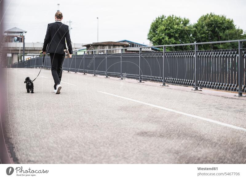 Modischer junger Mann hält Skateboard zu Fuß mit Hund auf einer Brücke Hunde gehen gehend geht Bruecken Brücken modisch Rollbretter Skateboards Geschäftsmann