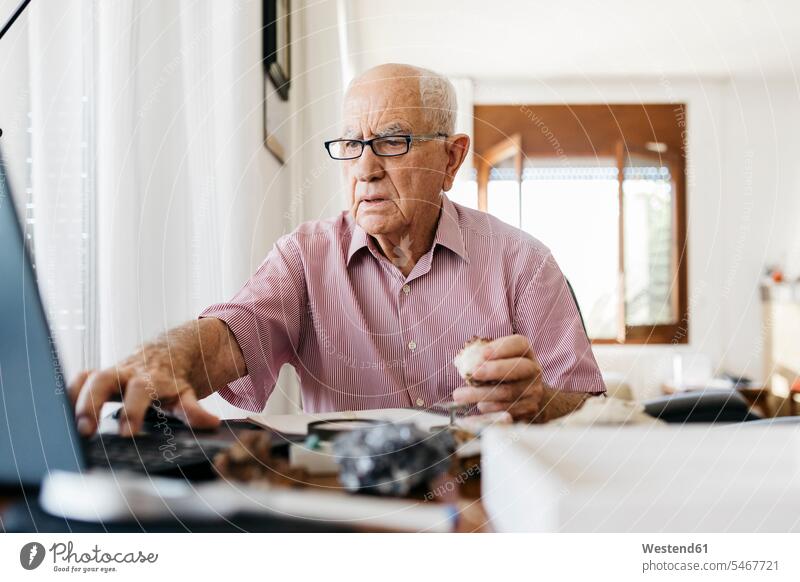 Pensionierter älterer Mann, der zu Hause am Laptop forscht, während er Fossilien und Mineralien erforscht Farbaufnahme Farbe Farbfoto Farbphoto Innenaufnahme