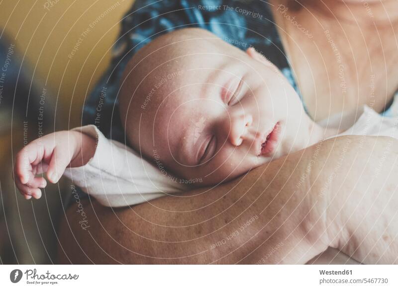 Porträt eines kleinen Jungen, der in den Schafböcken der Großmutter schläft Generation schlafend entspannen relaxen entspanntheit relaxt behüten behütet