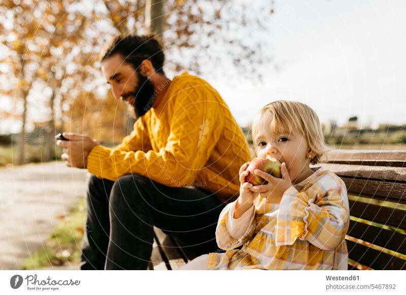Vater und Tochter sitzen auf einer Bank im Park im Herbst, Vater mit Smartphone, Tochter isst einen Apfel Äpfel Aepfel benutzen benützen iPhone Smartphones