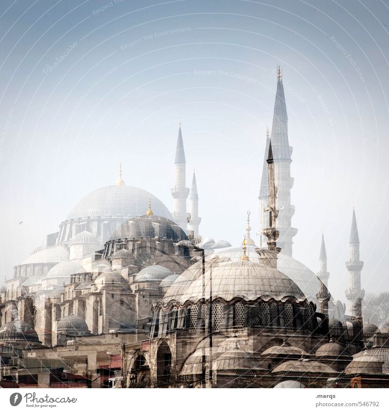 Istanbul Ferien & Urlaub & Reisen Tourismus Sightseeing Städtereise Sommer Wolkenloser Himmel Türkei Bauwerk Gebäude Architektur Moschee außergewöhnlich hell