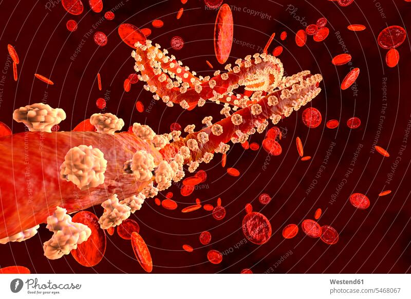 3D-gerenderte Illustration eines Ebola-Virus im Blutstrom, der von Erythrozytenzellen umgeben ist Farben Farbtoene Farbton Farbtöne rote roter rotes Gesundheit