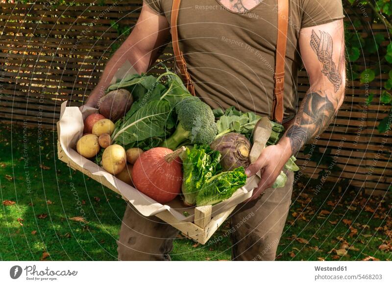 Älterer Mann trägt Kiste mit Gemüse in seinem Garten Holzkiste Steige Holzverschlag tragen transportieren reifer Mann reife Männer Vegetarier Vegetarismus