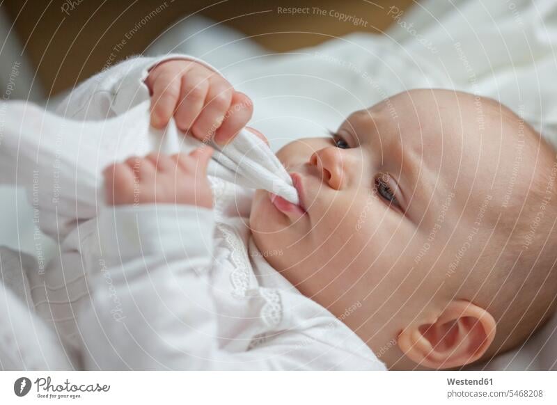 Baby Mädchen saugt Tuch Babies Babys Säuglinge Kind Kinder weibliche Babys weibliches Baby weibliche Babies Stoff Gewebe Textilfasern Stoffe saugen lutschen