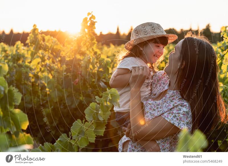 Mutter und kleine Tochter in einem Weinberg bei Sonnenuntergang in der Provence, Frankreich Weinberge Weingaerten Weingarten Weingärten Weingueter Weingüter