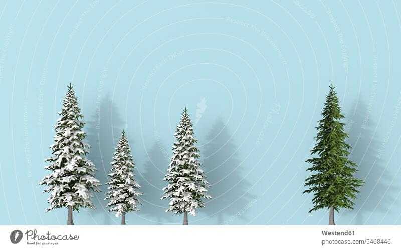 3D-Rendering, Reihe schneebedeckter Tannenbäume, blau auf dem Hintergrund, mit einem grünen , im Hintergrund stehend Winter winterlich Winterzeit Baum Bäume