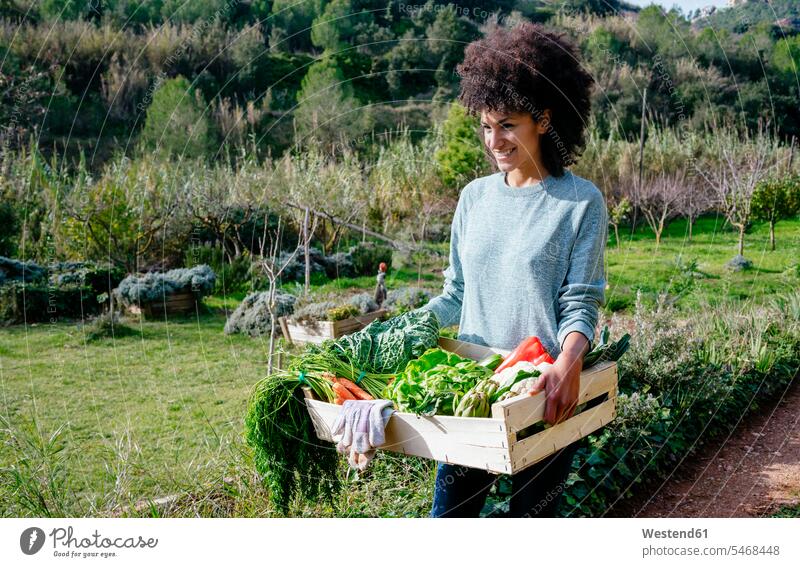 Frau trägt frisches Gemüse aus ihrem Garten Gärten Gaerten Gemuese Frau mittleren Alters Frauen mittleren Alters tragen transportieren Gemüsegarten Gemüsegärten