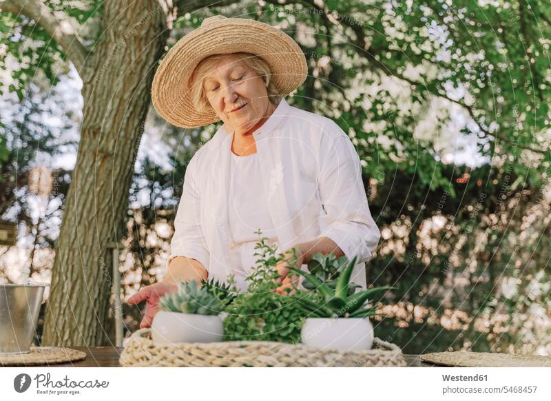 Ältere Frau mit Hut mit Topfpflanzen auf Tisch im Hof stehend Spanien Tag Tageslichtaufnahme Tageslichtaufnahmen Tagesaufnahme am Tag Tagesaufnahmen tagsüber