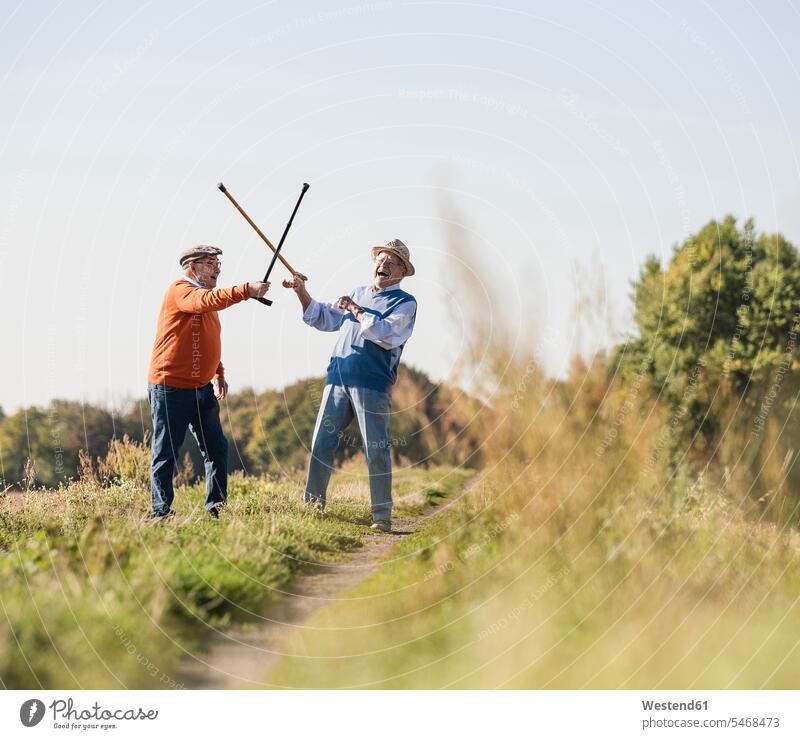 Zwei alte Freunde beim Fechten auf den Feldern mit ihren Wanderstöcken Rivale Rivalen kämpfen kaempfen Fechtsport Gehstock Spazierstöcke Gehstöcke Wanderstock
