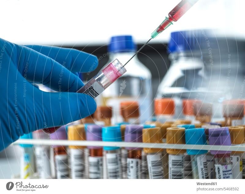 Biomedizinischer Techniker, der im Labor mit Blutproben arbeitet Farbaufnahme Farbe Farbfoto Farbphoto Wissenschaftler Wissenschaften wissenschaftlich