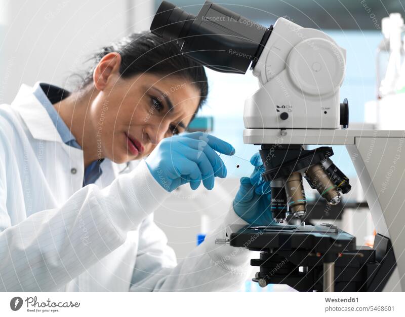 Labortechniker bei der Untersuchung eines Objektträgers mit einer Blutprobe, die unter dem Mikroskop im Labor vergrößert werden soll Job Berufe Berufstätigkeit