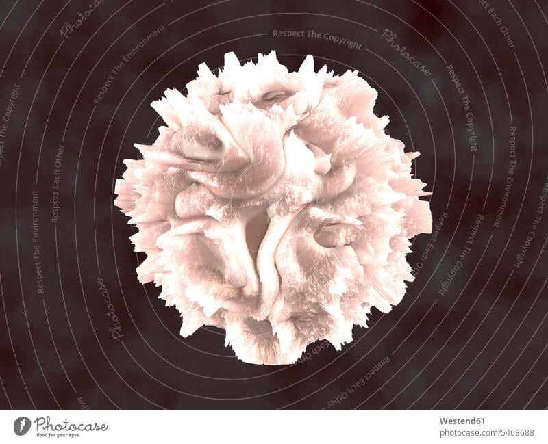 3D-gerenderte Illustration, Visualisierung eines Leukozyten, weißes Blutkörperchen Gesundheit Gesundheitswesen medizinisch Wissenschaften wissenschaftlich