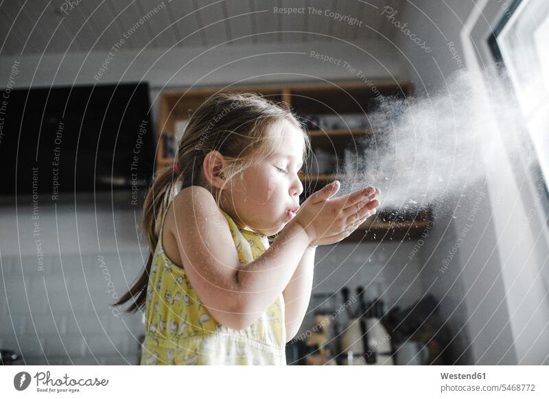 Kleines Mädchen bläst in der Küche Mehl in die Luft spielen Kindheit in der Luft Teigtaschen weiblich eine Person single 1 ein Mensch einzelne Person Ein