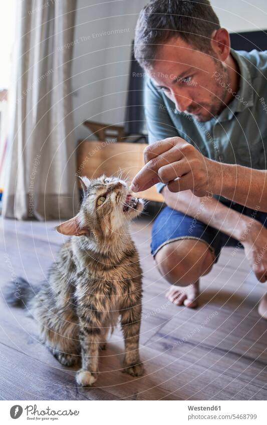 Hübscher Mann kauert beim Füttern der Katze zu Hause Farbaufnahme Farbe Farbfoto Farbphoto Spanien Innenaufnahme Innenaufnahmen innen drinnen Innenausstattung