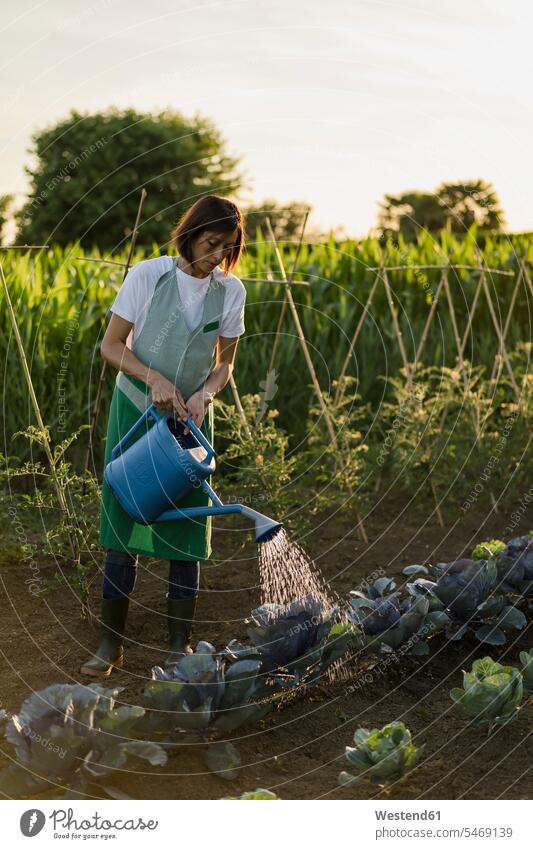 Frau bewässert Gemüsegarten Gartenarbeit Gartenbau Muße Felder außen draußen im Freien am Tag Tagesaufnahme Tagesaufnahmen Tageslicht Tageslichtaufnahme