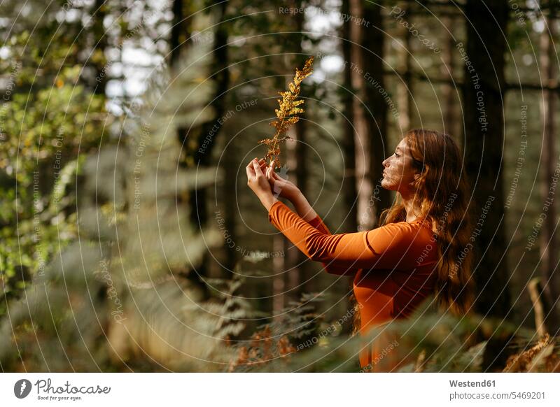 Junge Frau mit langen Haaren hält Pflanze, während sie im Wald an Bäumen steht Farbaufnahme Farbe Farbfoto Farbphoto Spanien Freizeitbeschäftigung Muße Zeit