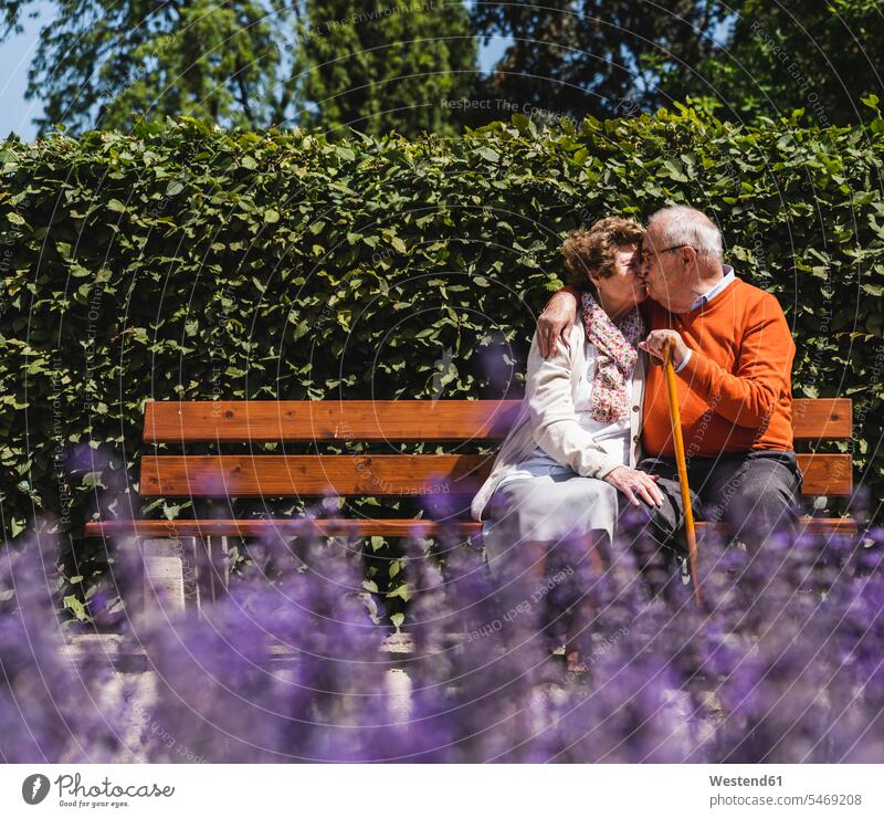 Senior Paar sitzt auf Bank in einem Park, küssen Parkanlagen Parks Arm umlegen Arme umlegen frisch verliebt sich verlieben Sommer Sommerzeit sommerlich sitzen