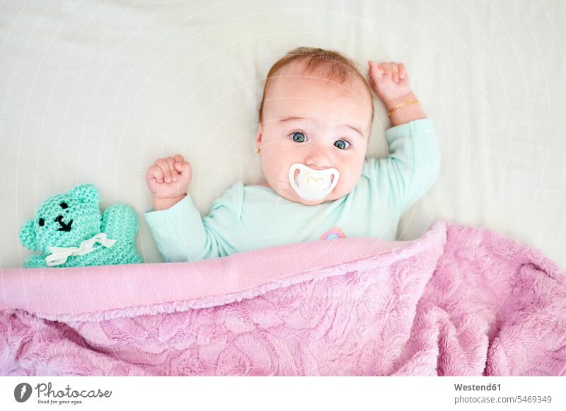Porträt eines kleinen Mädchens mit Schnuller und Kuscheltier auf dem Bett liegend Decken Betten entspannen relaxen anstarren zufrieden Friede friedlich