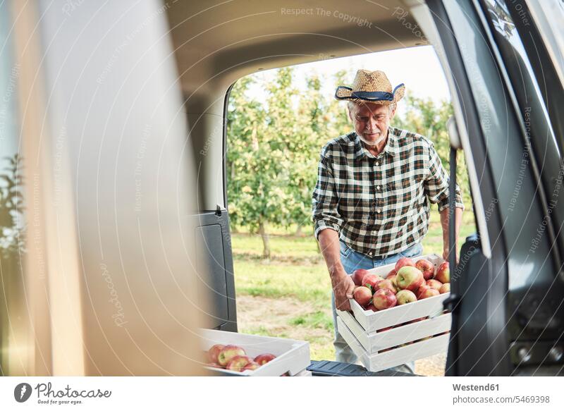 Obstbauern beladen Wagen mit Apfelkisten Job Berufe Berufstätigkeit Beschäftigung Jobs Hemden Hüte ernten Essen Essen und Trinken Food Lebensmittel