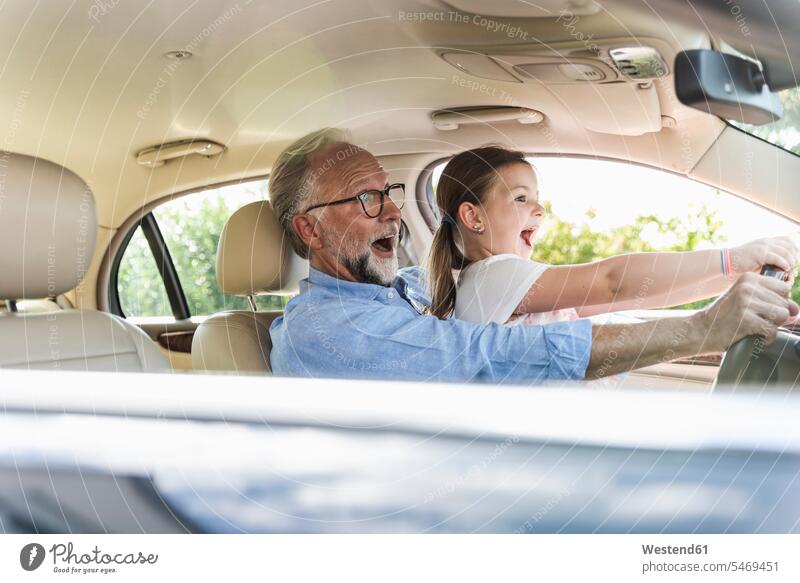 Kleines Mädchen sitzt auf dem Schoß des Großvaters und gibt vor, das Auto zu lenken Wagen PKWs Automobil Autos autofahren Sommer Sommerzeit sommerlich lachen